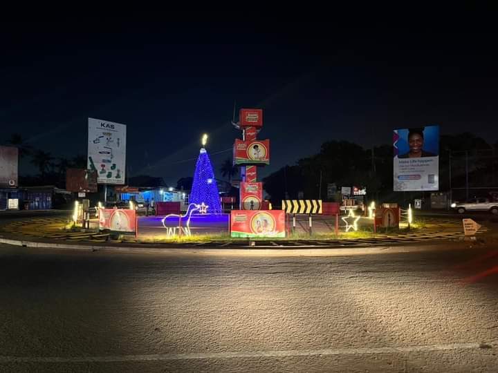 Tema Mayor Brightens Metropolis With Streetlights And Christmas Trees